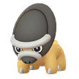 Shadow Shieldon