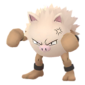 Shadow Primeape